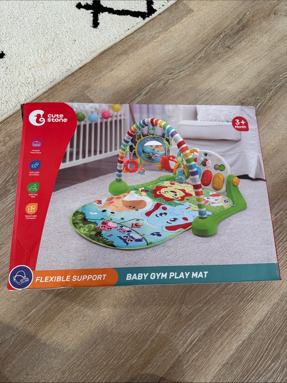 Baby Gym Play Mat with Colorful Arch